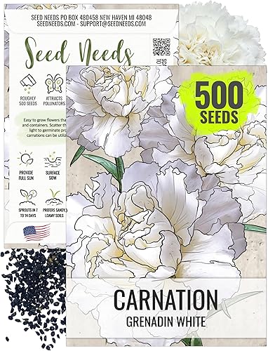 Seed Needs, Semillas de clavel blanco de granadina, 500 semillas tradicionales para plantar Dianthus caryophyllus - Flores cortadas anuales para