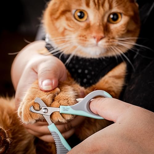 Vista 113 de Mr. Pen - Cortaúñas para gatos, cortaúñas para mascotas, cortaúñas para gatitos, fácil de usar, precisión y corte afilado Beige