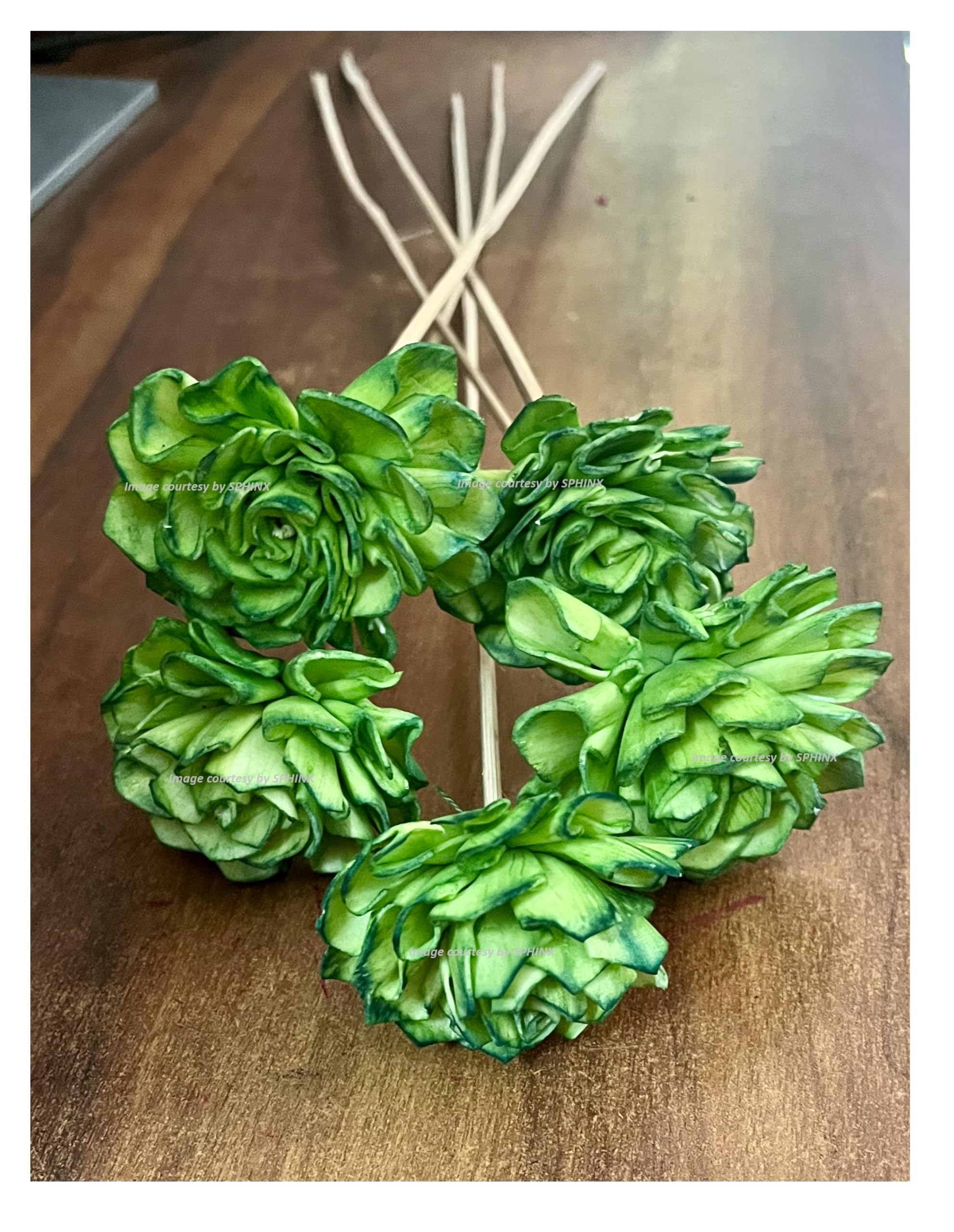 SPHINX Artisanal Handmade Sola Flower Sticks for Decorations - Natural, Sustainable, Eco-Friendly - Sola Rose, Peony, Lotus, Carnation Sticks- Height Approx 50 cms - (Sap Green Rose, 5)