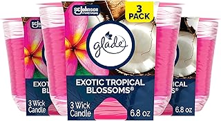 30 Candle Lantern Decor Ideas to Brighten Up Your Living Room 66 Glade Exotic Tropical Blossoms 3-Wick Air Freshener Candle, Infused with...
