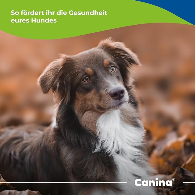 Foto 2 de 6 de Canina De Barfer Best, 1x Pack (1 x 2 kg)