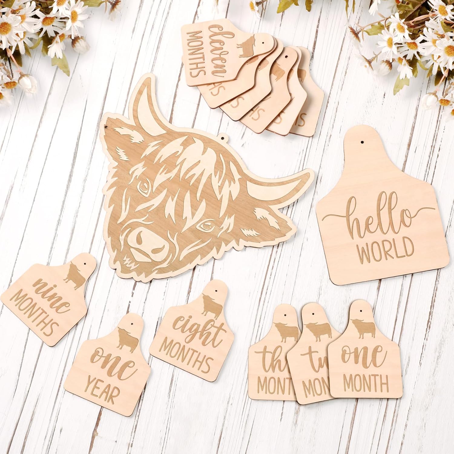 Huray Rayho Highland Cow Baby Monthly Milestone Cards, Wooden Photo Props image 2