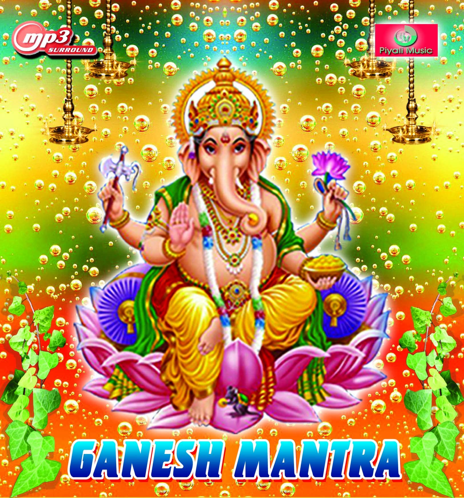 Generic Pendrive - Ganesh Bhajan & Mantra ।। Ganesh Chaturthi Special ।। USB Song ।। 16GB ।।-picture-28