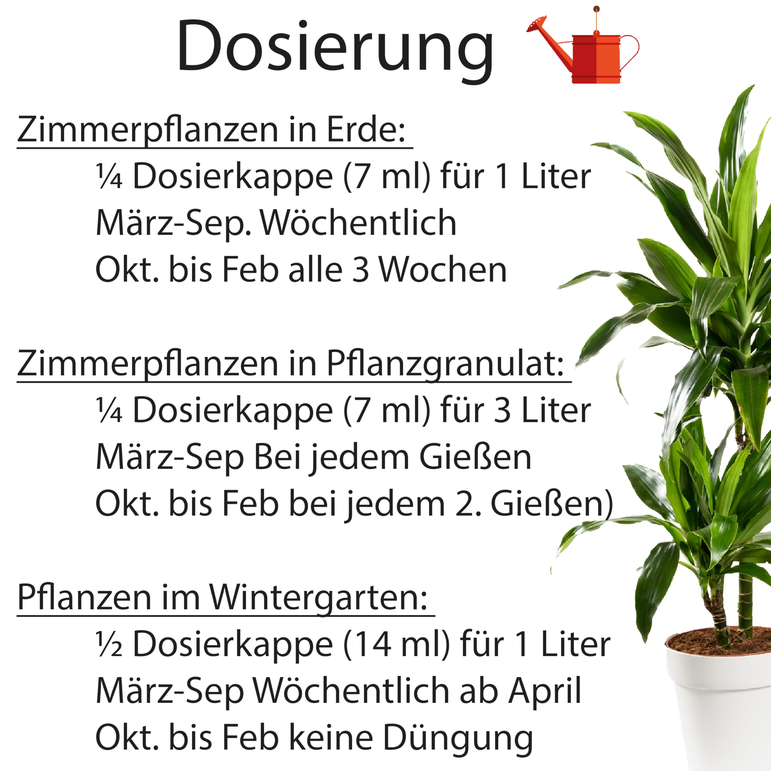 Substral Engrais vert pour plantes 1 l