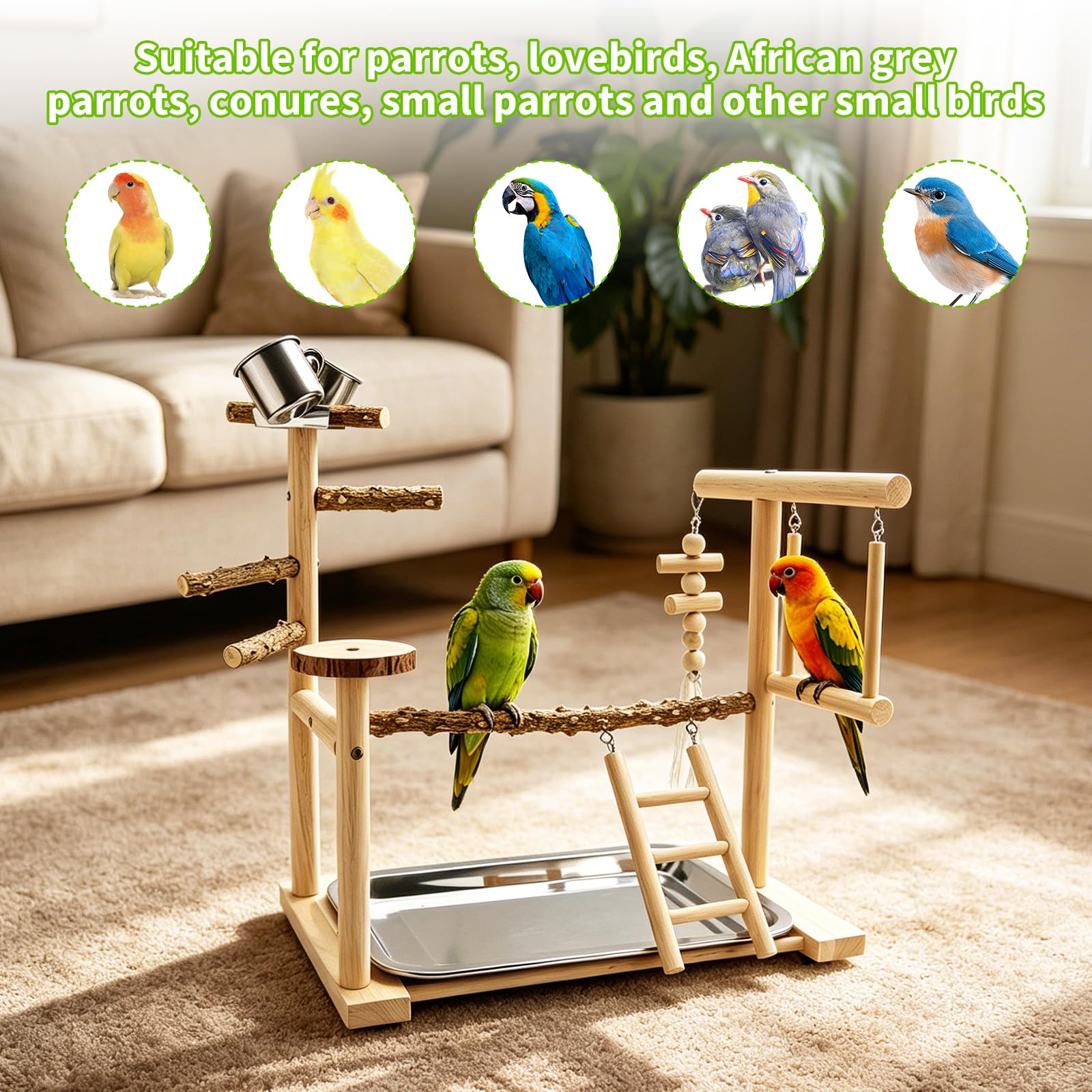 Papagei Vogelspielplatz Wellensittich Spielplatz Wellensittich Spielzeug Vogel Zubehör Vogelspielzeug Für Papageien Vogel Spielzeug Vogelbaum Bird Play Stand