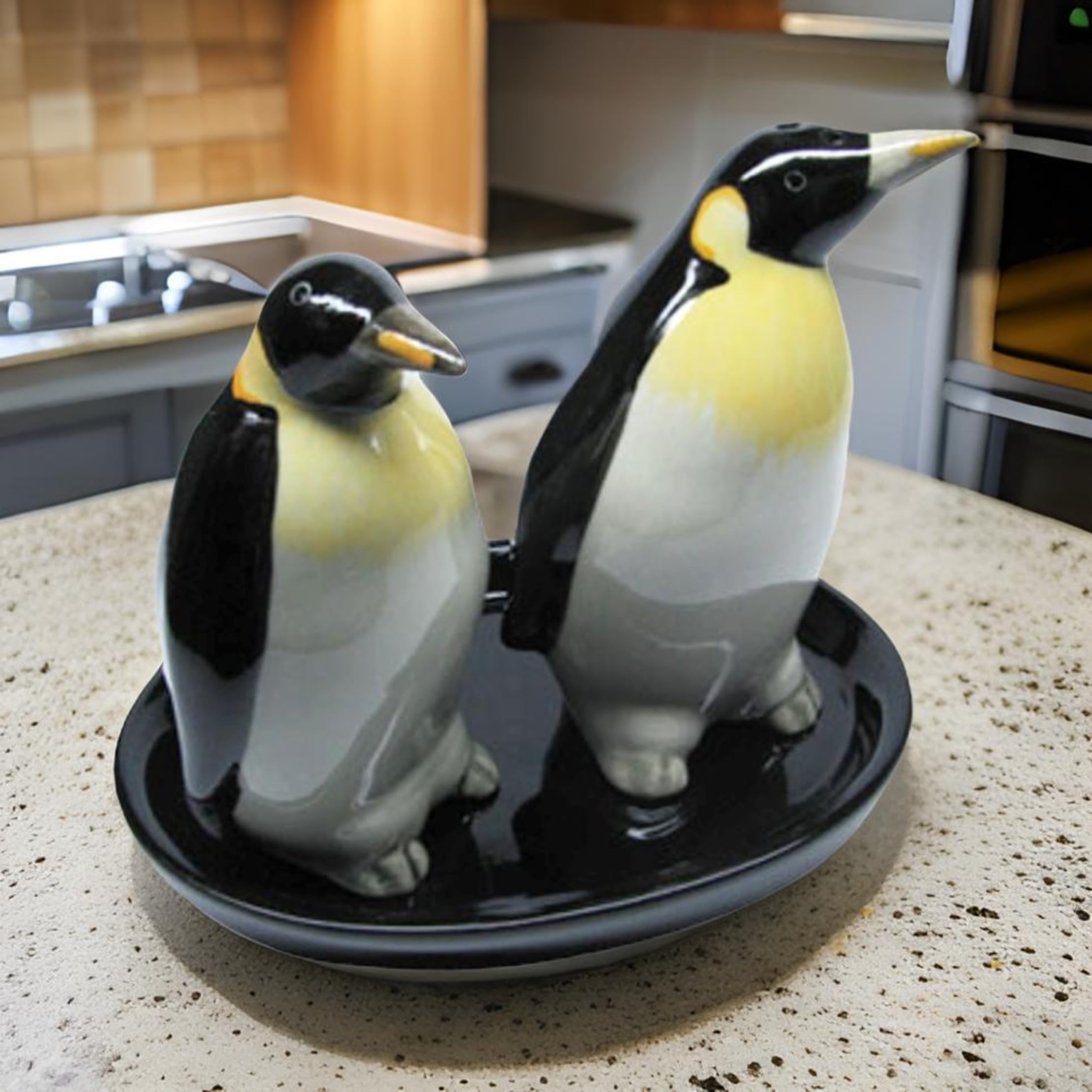 Ceramica Saliera e pepiera regalo a Forma di Pinguini con vassio