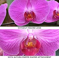 Vista 7 de Lente de conversión, de ángulo amplio, 0.43x, de Altura Photo