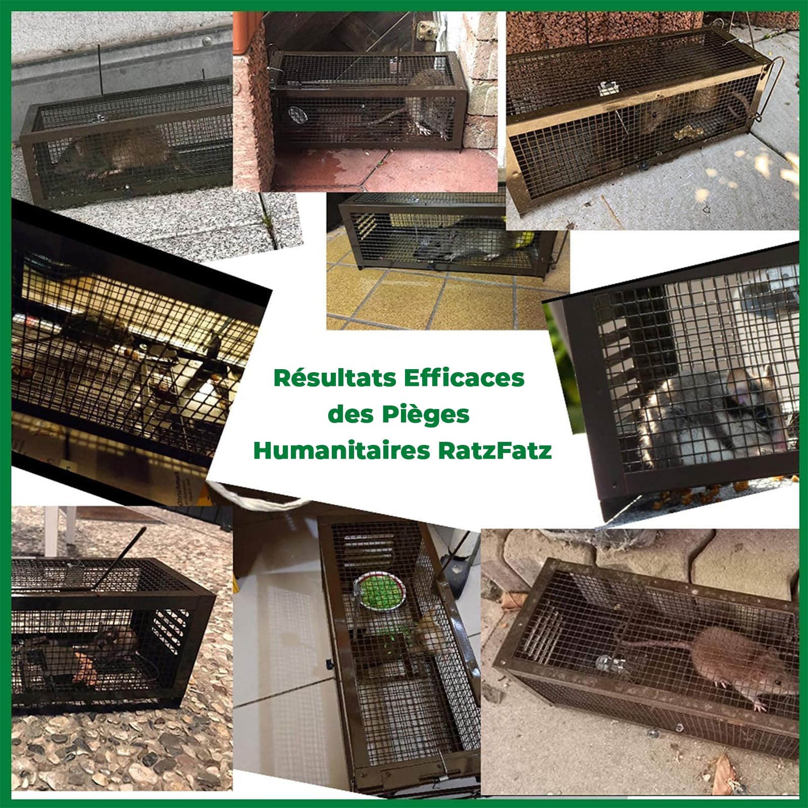 Ratzfatz Piège à Rats Multi-Catch Cage XXL, Sensibilité Ajustable, No Kill, Réutilisable, pour Usage Intérieure/Extérieure, pour Attraper Les Souris Les Rats et Autres Rongeurs de Taille Similaire (1)