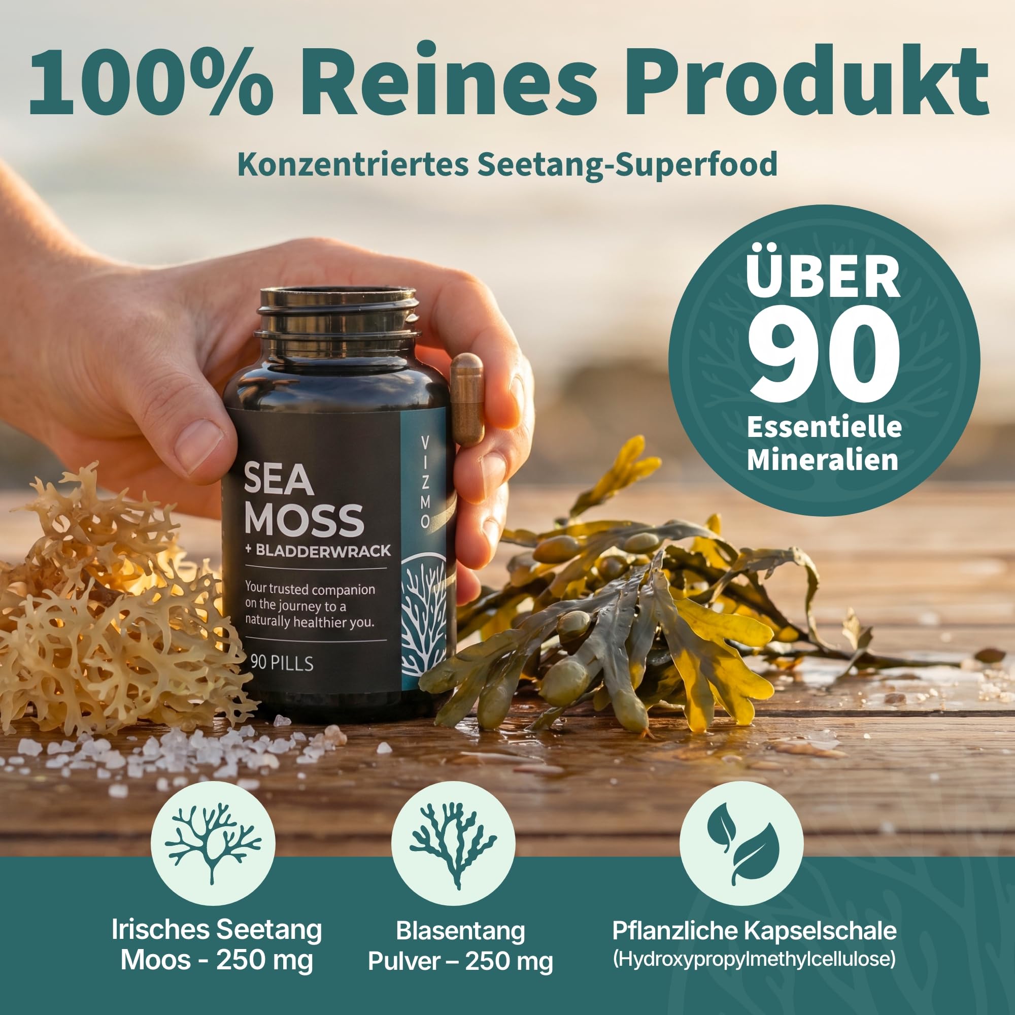 Verdauungs & Mineralstoff-Stack (2-in-1) für Gesundheitsbewusste und Darmgesundheits-Enthusiasten –Betain HCl & Irisches Moos mit Blasentang für tägliche Verdauungsbalance und Mineralstoffversorgung