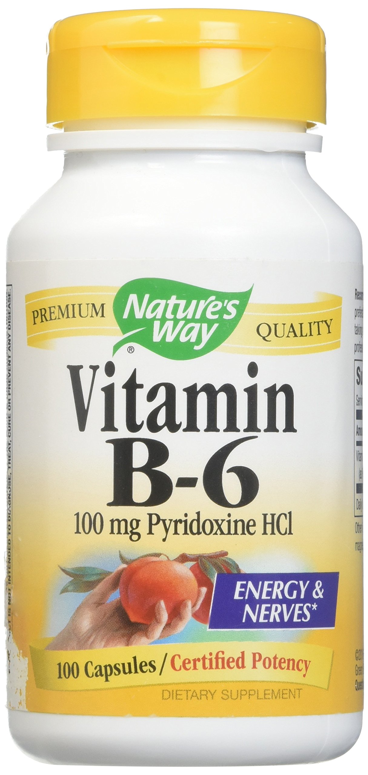 Natures Way B6 100 Mg, 100 Ct
