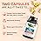 Zenwise Health No Bloat Digestive Enzymes for Gut Health, Gas & Bloating Relief - Multi Enzymes Digestion Supplement with Probiotics, Ginger, Turmeric Dandelion & Lactase - Men & Women - 100 Count
