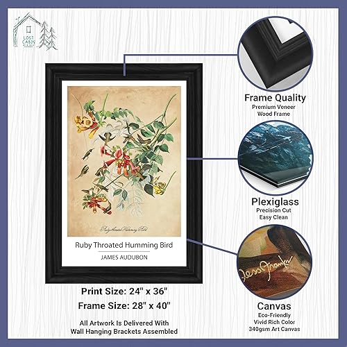 Vista 100 de Towee Bunting by James Audubon - Marco biselado negro de 12 x 16 pulgadas, decoración artística enmarcada para pared, reproducción de pinturas