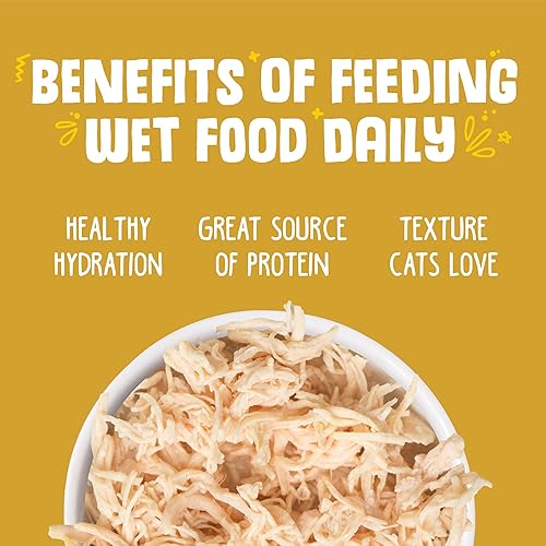 Miniatura 6 de Weruva Comida para gatos clásica, pollo para lamerse las patas con pechuga de pollo en salsa, lata de 10 oz (paquete de 12)