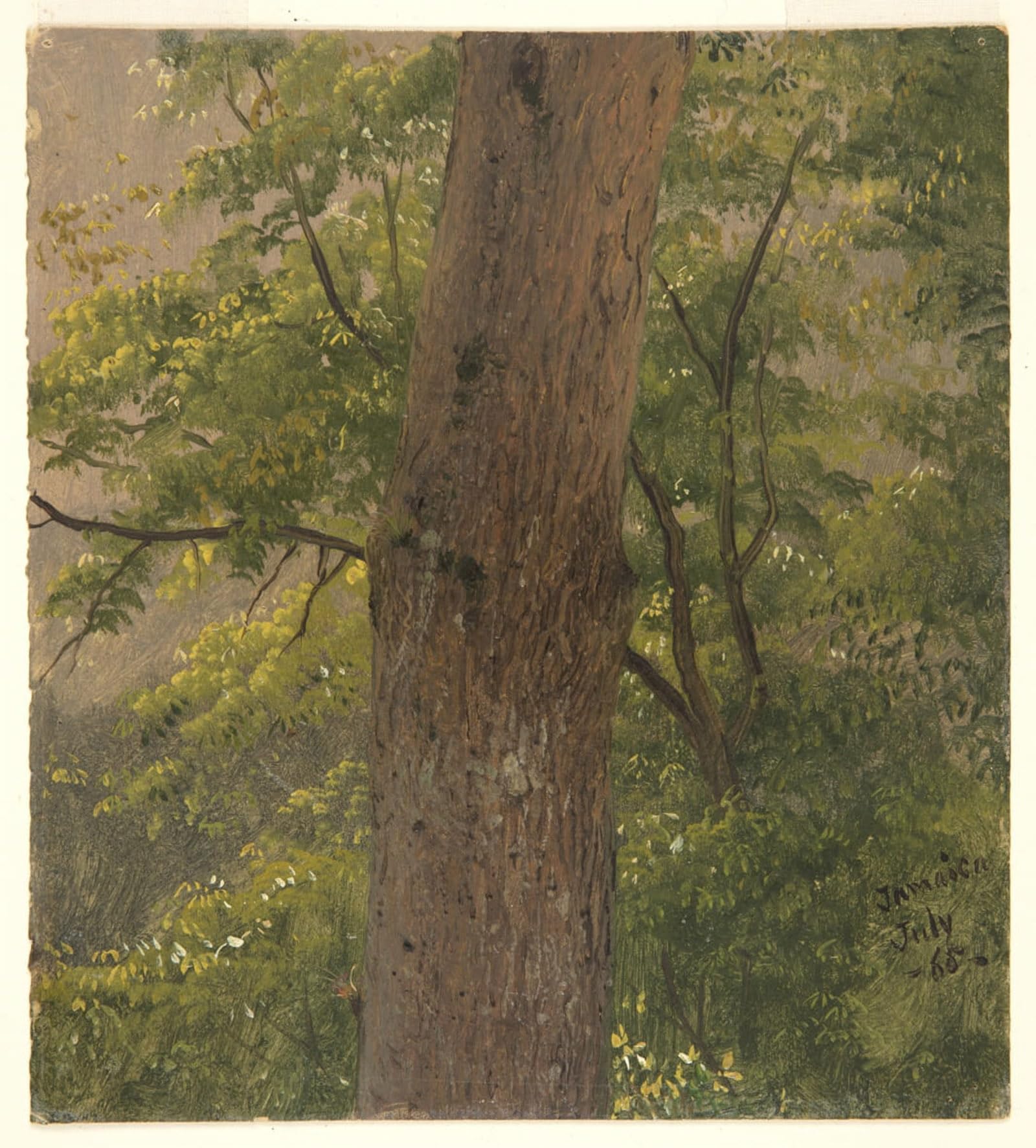 SERENDIPITP Aesthetic Poster Photo Wall Print Retro Picture Woodland Study Jamaica by Frederic Edwin Church Modern Wall Artwork for Home Decor 60x90cm