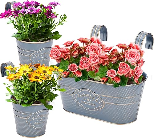 PerGar Macetas de metal vintage para colgar en la pared, maceta rústica, soporte para plantas con ganchos desmontables y agujero de drenaje para