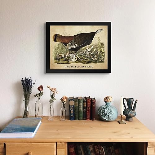Miniatura 3 de Great American Hen por James Audubon - Marco biselado negro de 12 x 16 pulgadas  Decoración artística enmarcada  Reproducción de pintura de arte