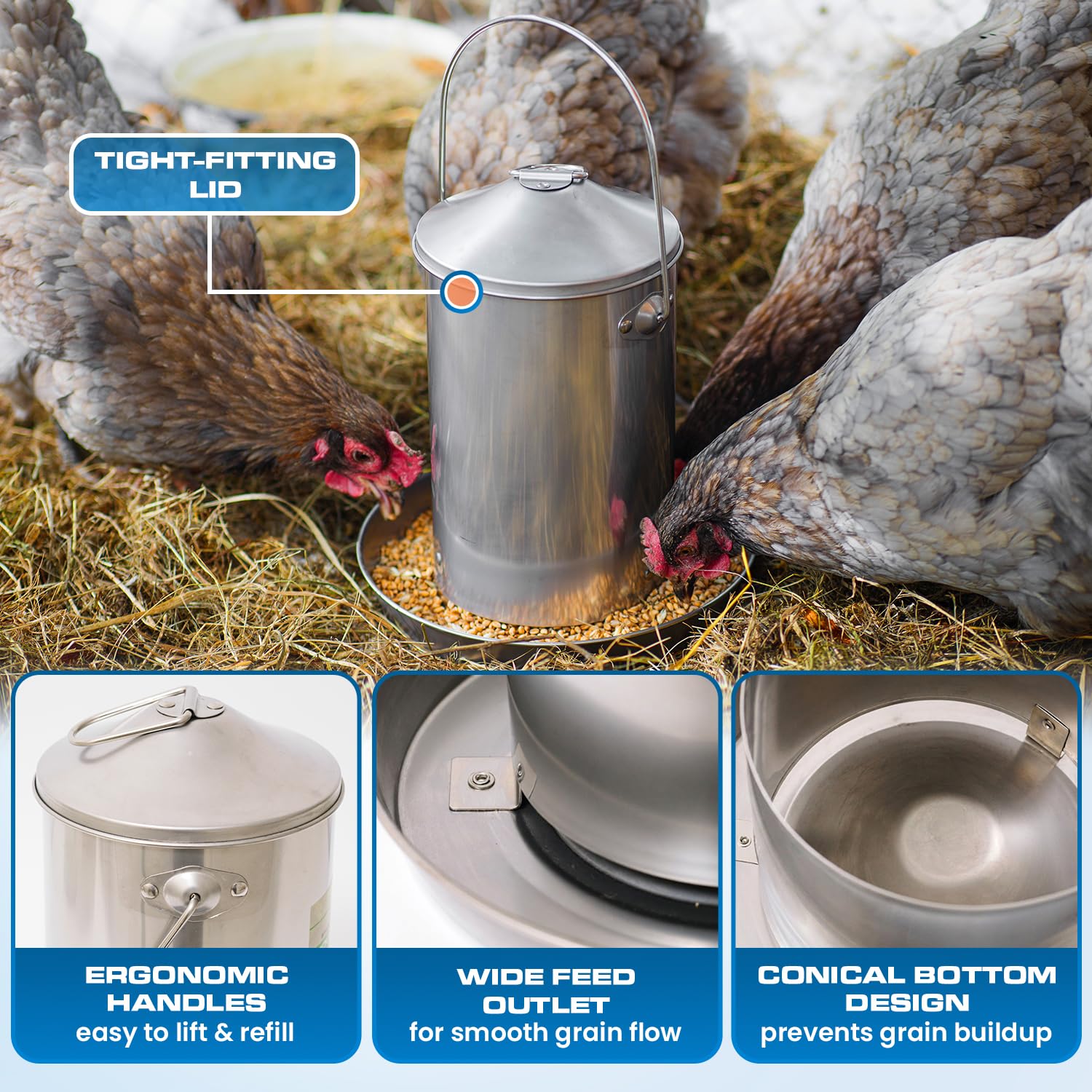 Plexon Mangiatoia automatica per polli in acciaio inox, 3 kg, per uso alimentare, per pollame, in metallo, resistente, affidabile, a lunga durata, con manico