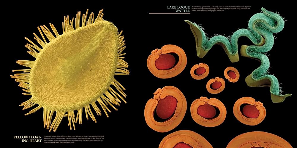 The Bizarre and Incredible World of Plants: Stuppy, Wolfgang