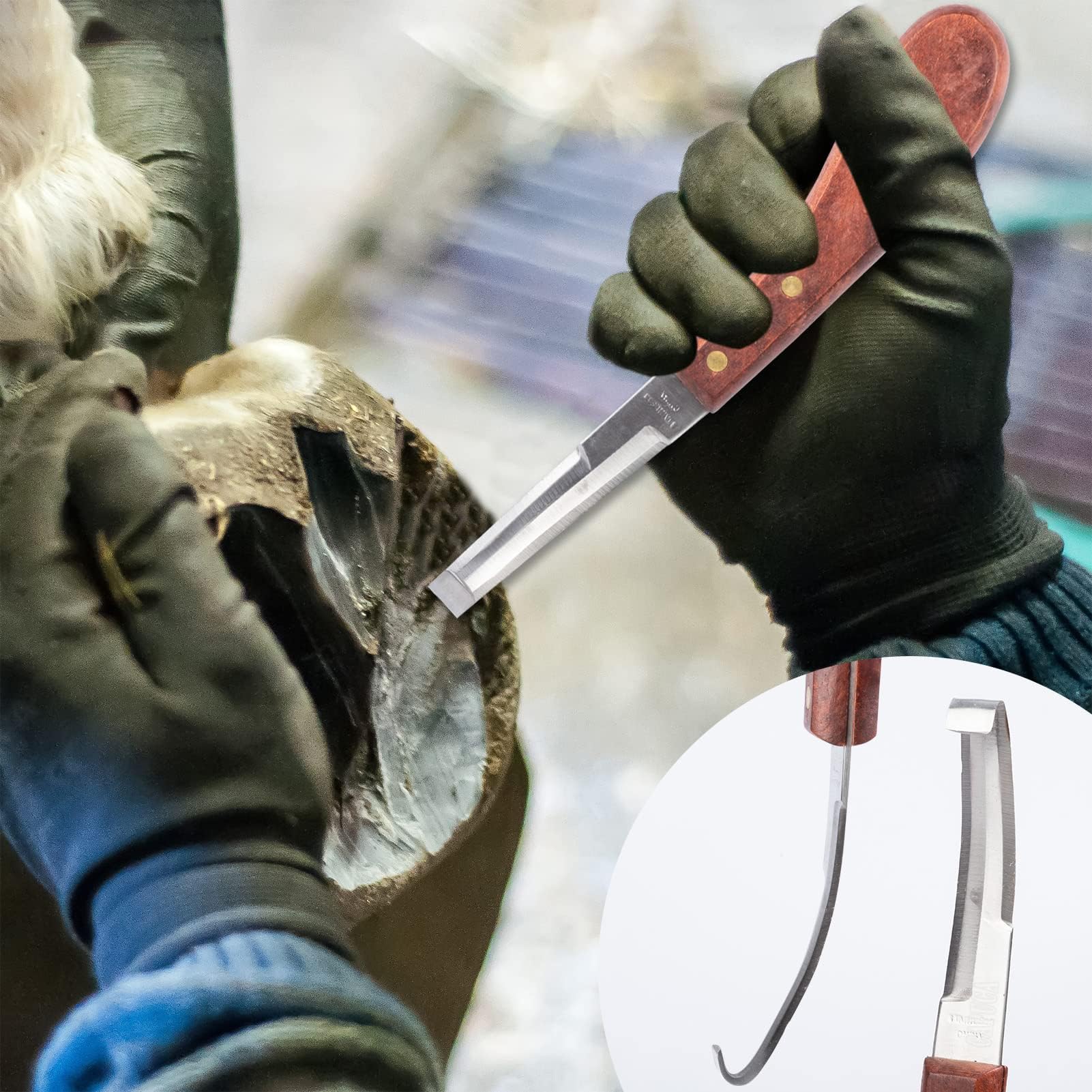 12 Piezas de Herramientas Profesionales para herrador, Kit de herrador, Herramientas para herrar Caballos, Suministros para herrador, Herramientas para herrador de Caballos, Ganado, ovejas y