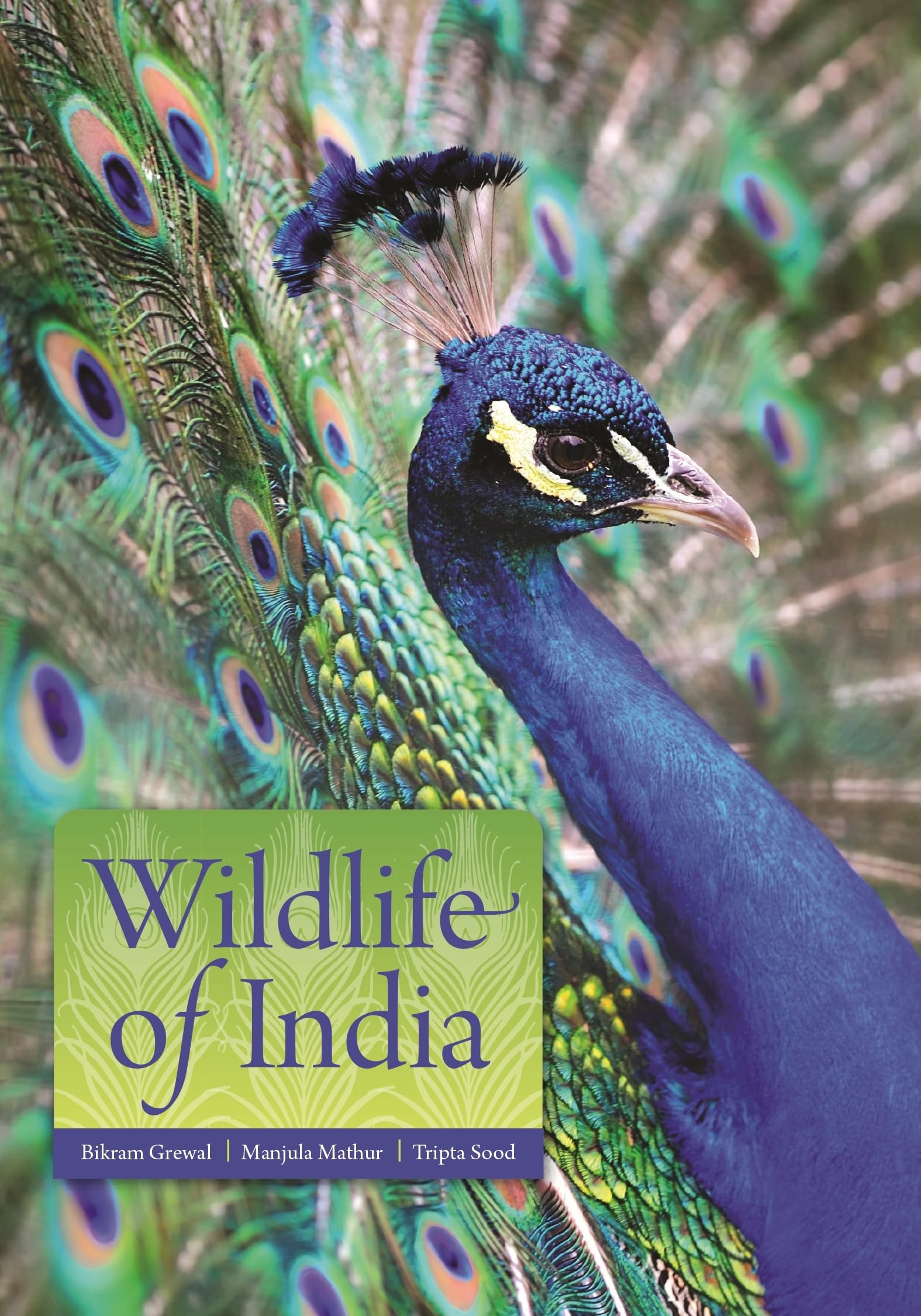 Wildlife of India (Princeton Pocket Guides)