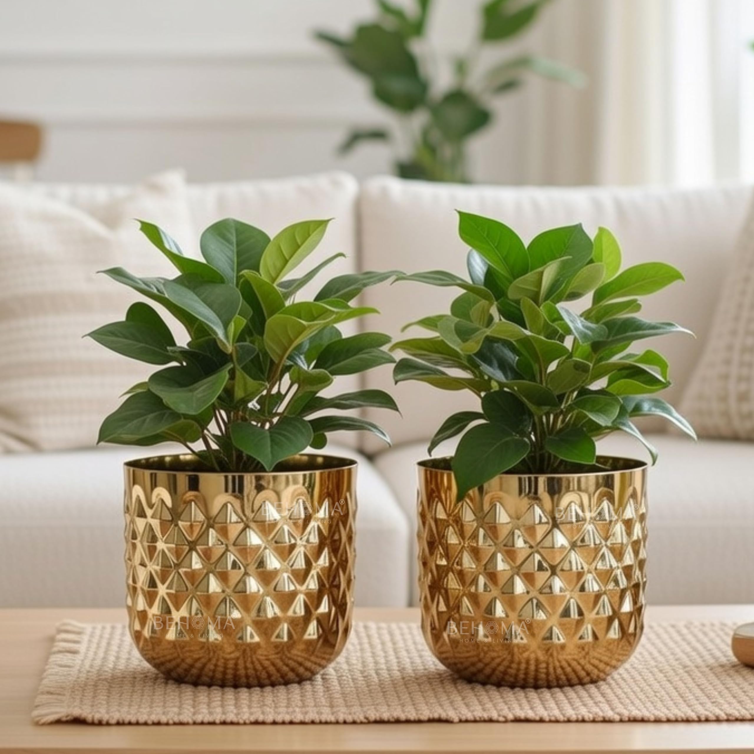BEHOMA Metal Indoor Planter | Pineapple Texture Modern Plant Pot | Drawing Room Balcony Office Decor for Small Plants | 5.3 (Height) by 5.9 (Dia) | Golden Set of 2 | (Plant not Included)