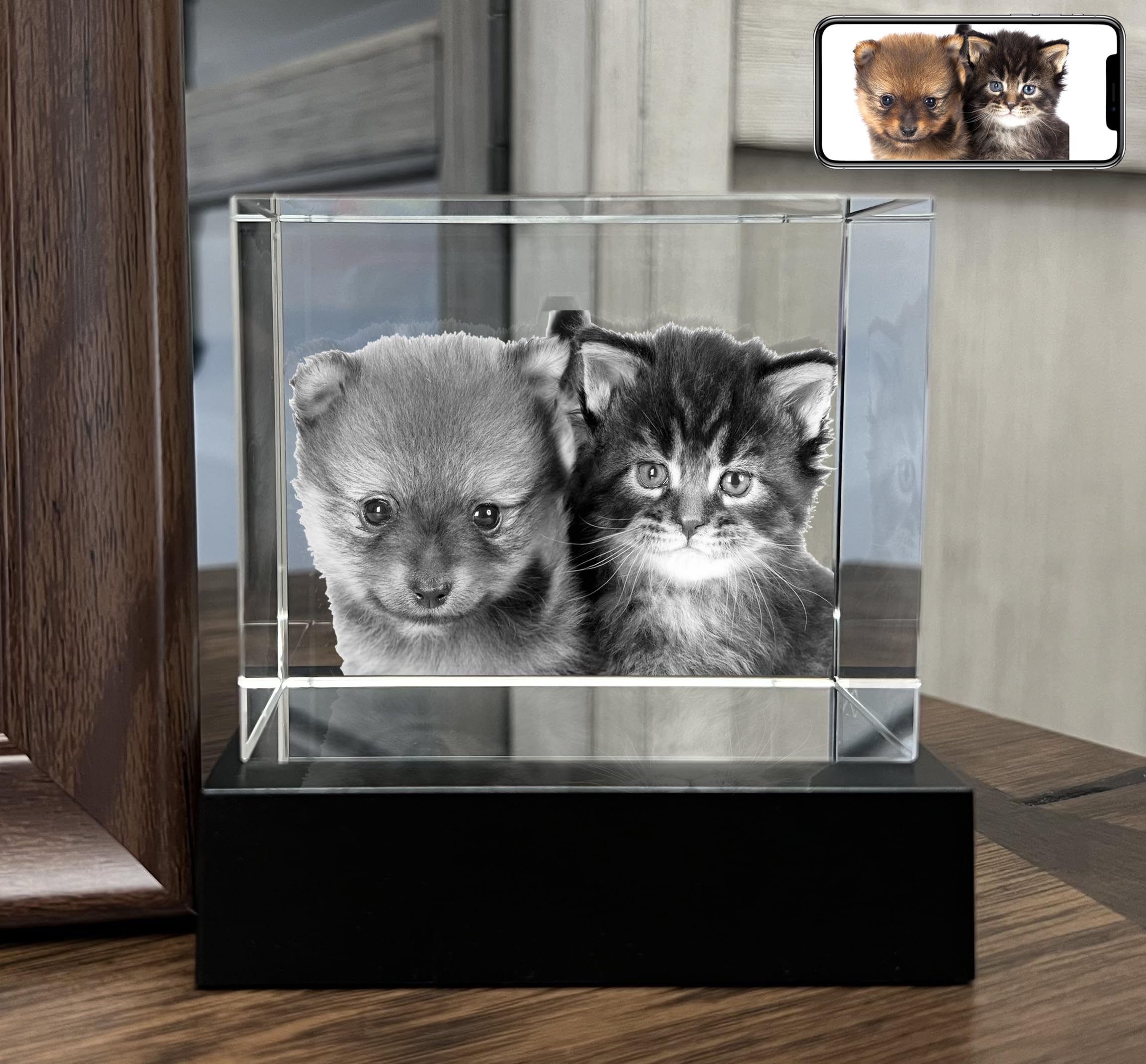 PD 3DPIXDANCE Personalized Dog, Cat Memorial Gifts for Pet Owners. Gift Box Included, Customized Laser Etched Crystal Photo (Medium Landscape)