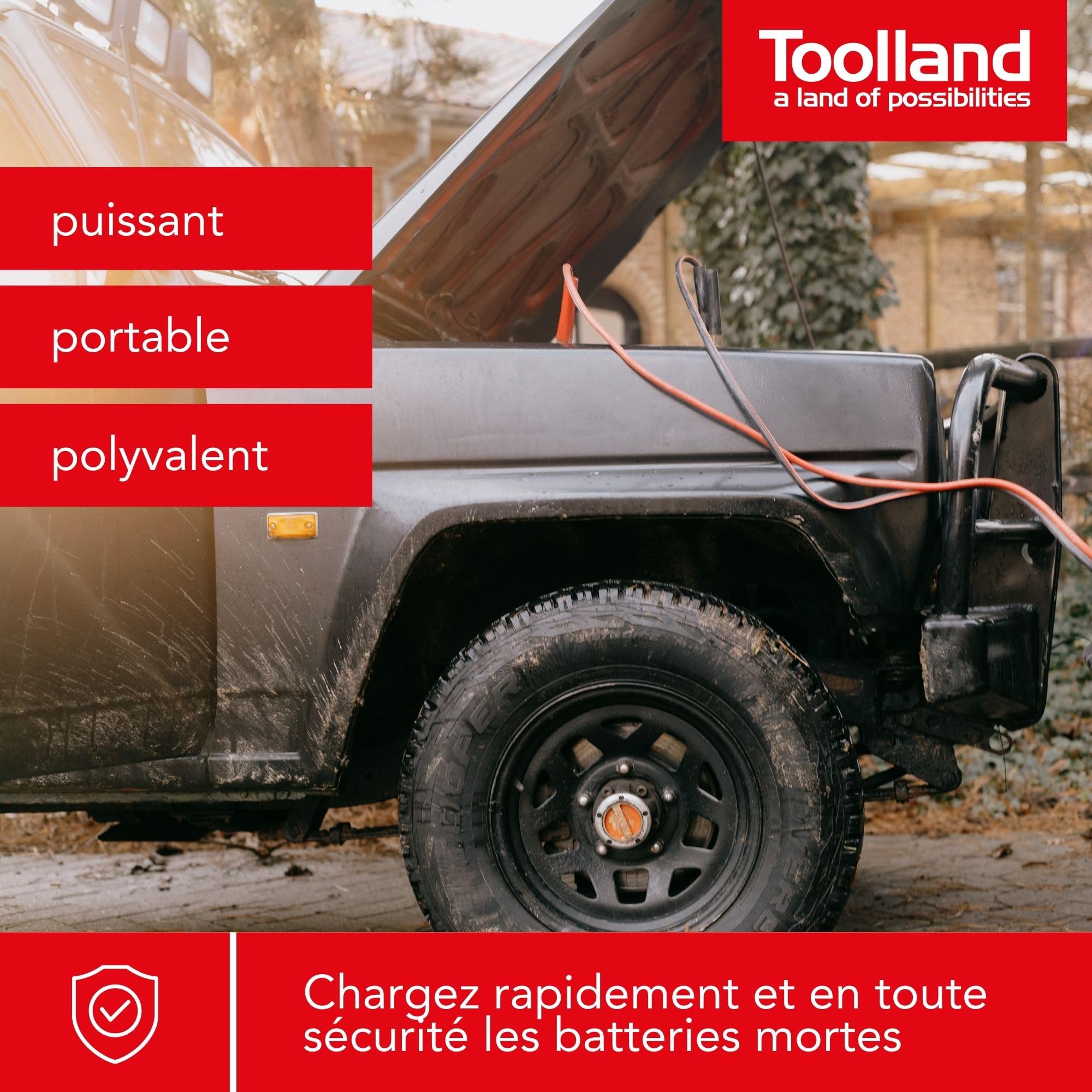 Toolland AC15 - Chargeur Batterie Accu - 12/24V - Fonction boost - Plomb Acide - 30x21x18.5cm, red