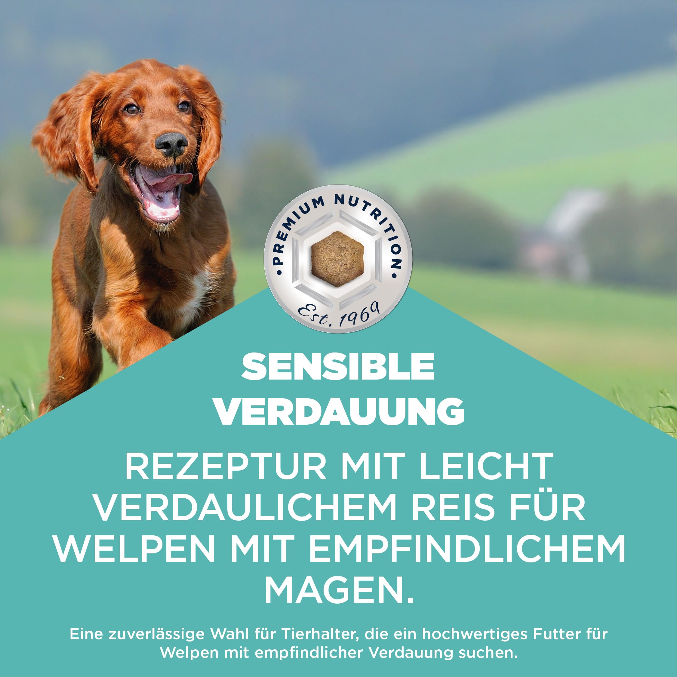 Eukanuba Sensitive Digestion Welpenfutter trocken mit Huhn & Reis, 12 kg | Special Care | Magenfreundliches Trockenfutter | für Junior Hunde mit sensibler Verdauung