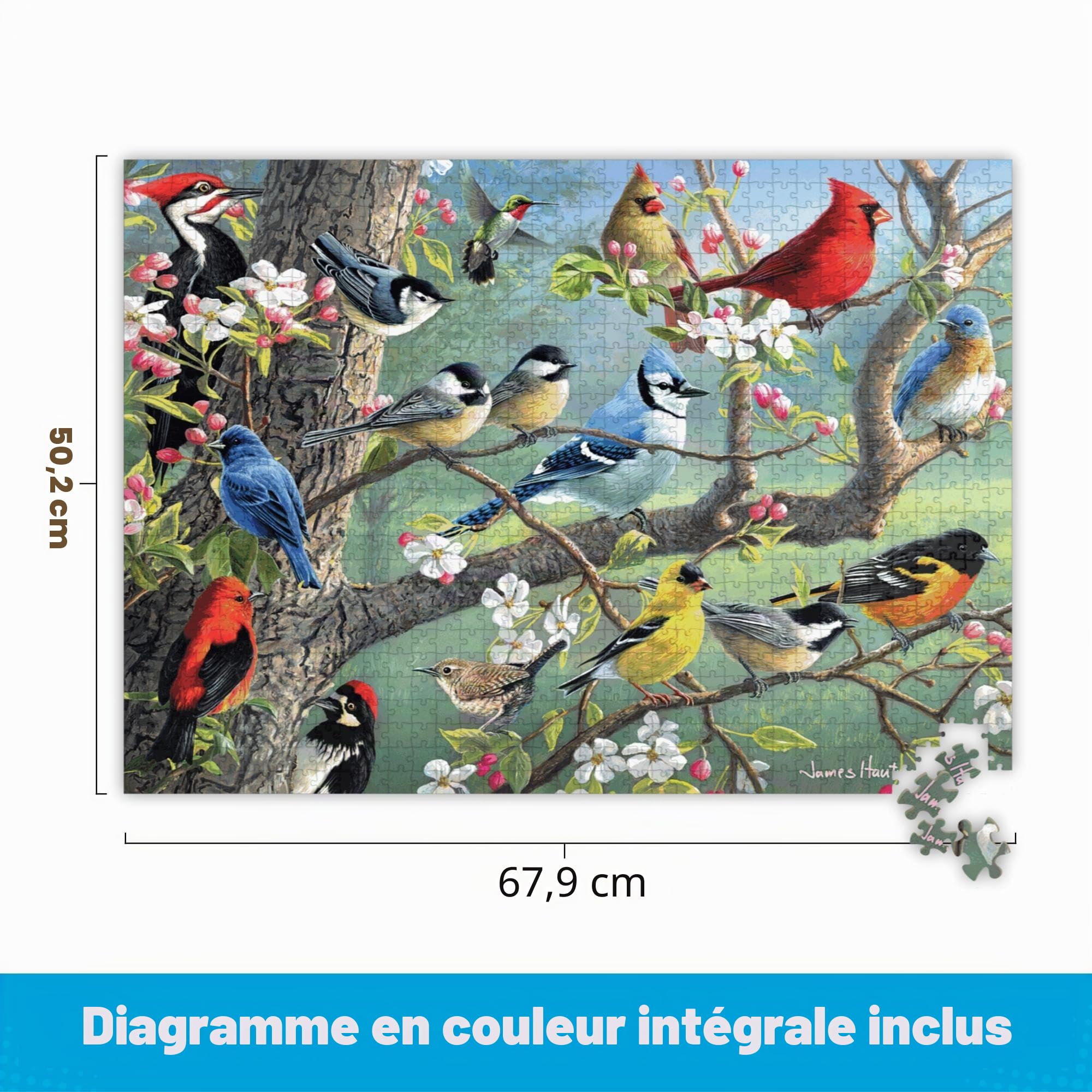 Buffalo Games - Frères Hautman - Oiseaux dans un verger - Puzzle de 1000 pièces