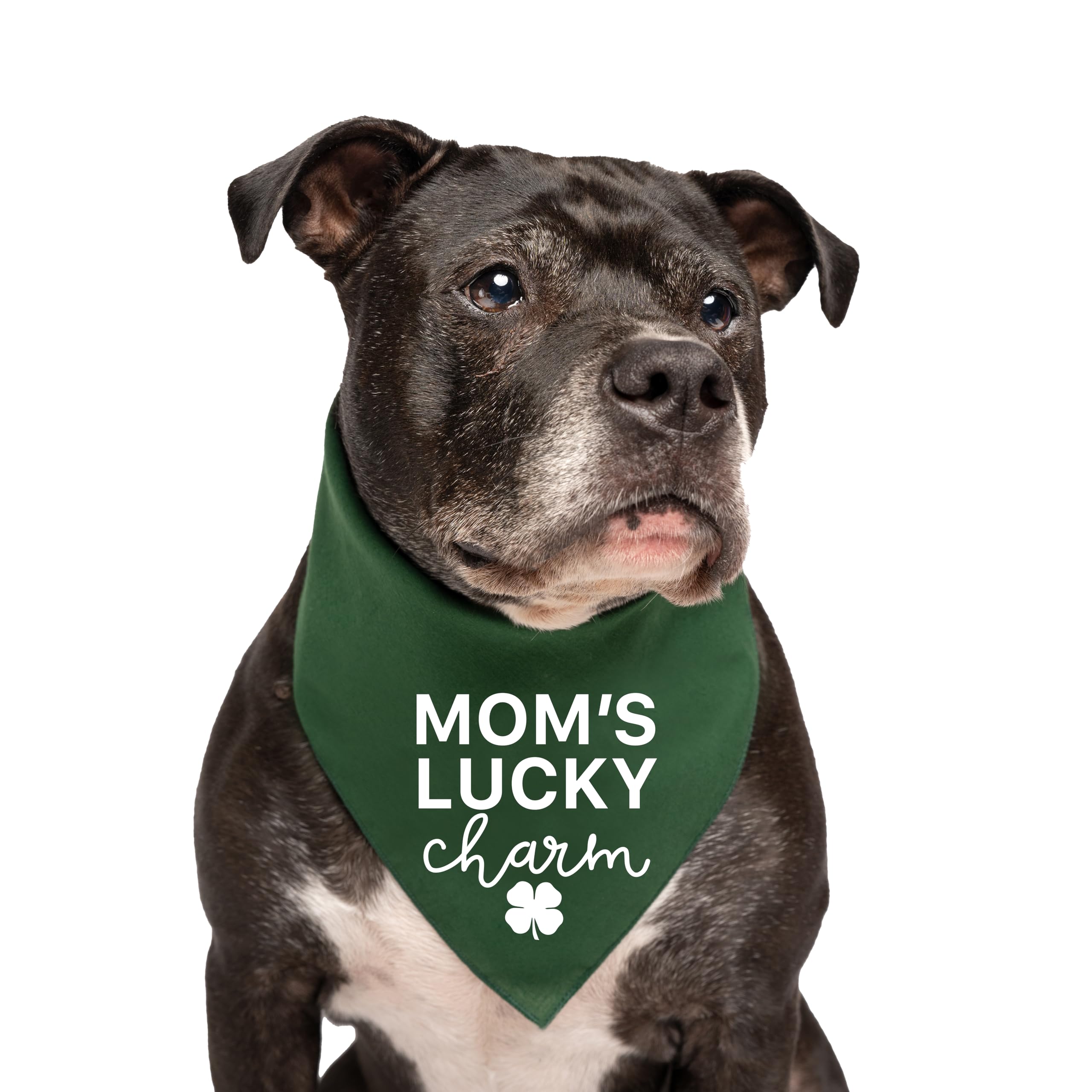 Mom's Lucky Charm | 100% Cotton Triangle | Made in USA | Funny St. Patrick's Day Photoshoot Prop | Shamrock | Drinking Bar Parade Event Or Party | Green X-Small (985)