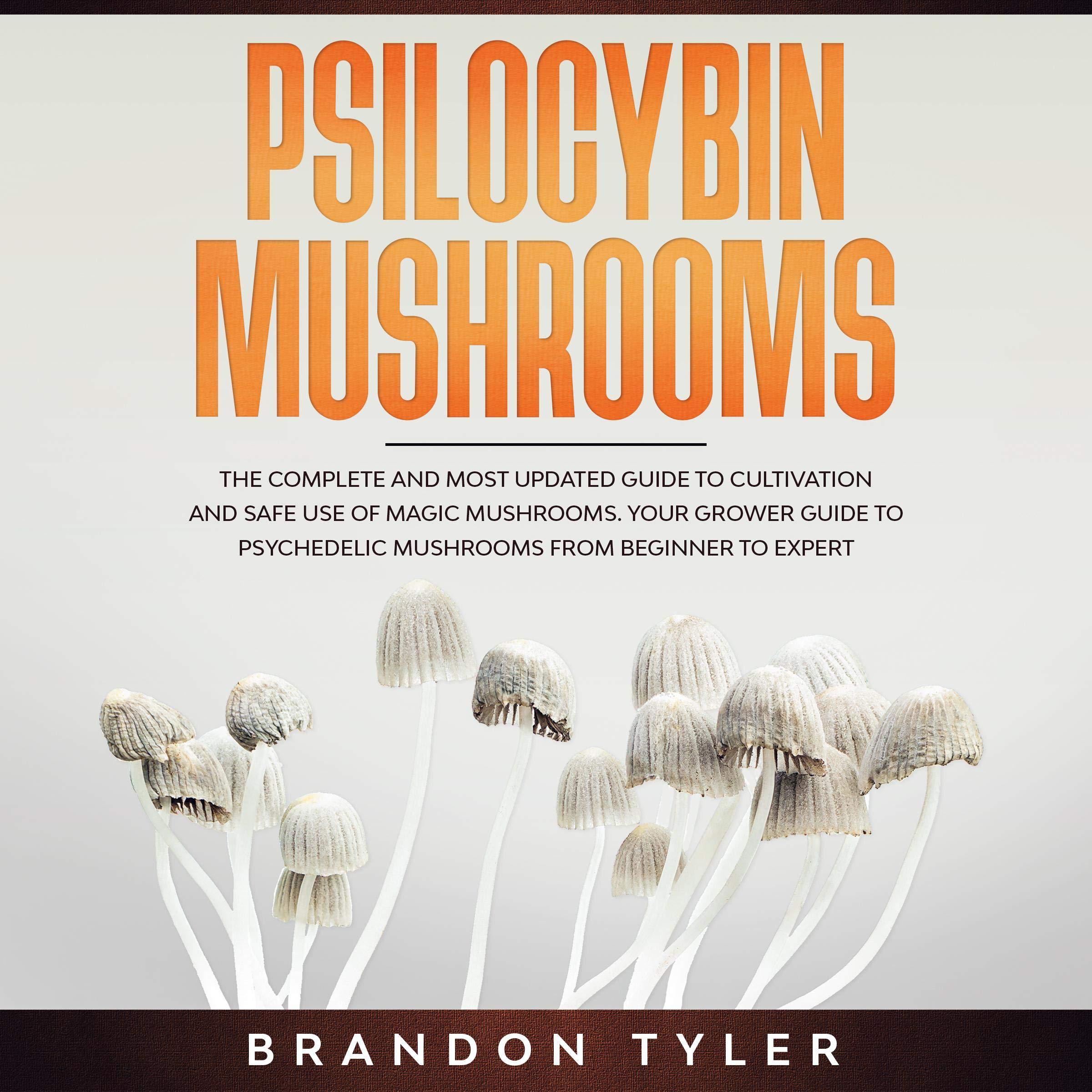 Cover art for Psilocybin Mushrooms