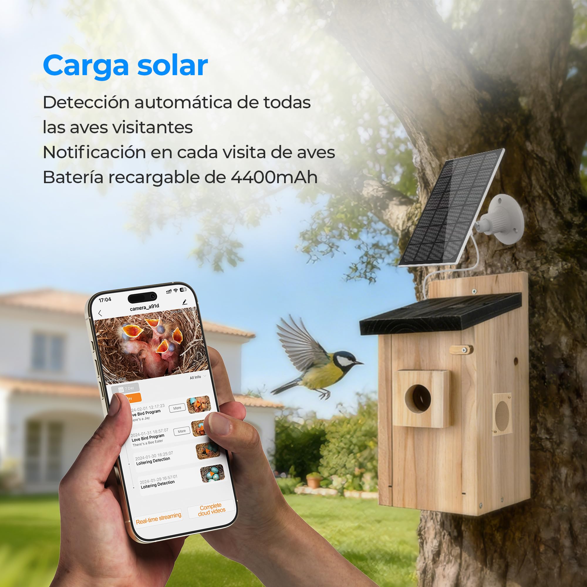 Casa para Pajaros con Camara - Nido para Aves con Camara 4MP, Observacion en Directo de AnidacionAlimentacion Solar, Impermeable IP65, Kit de Bricolaje