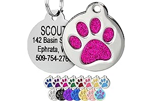 Paw Print Round Stainless Steel Pet Tag