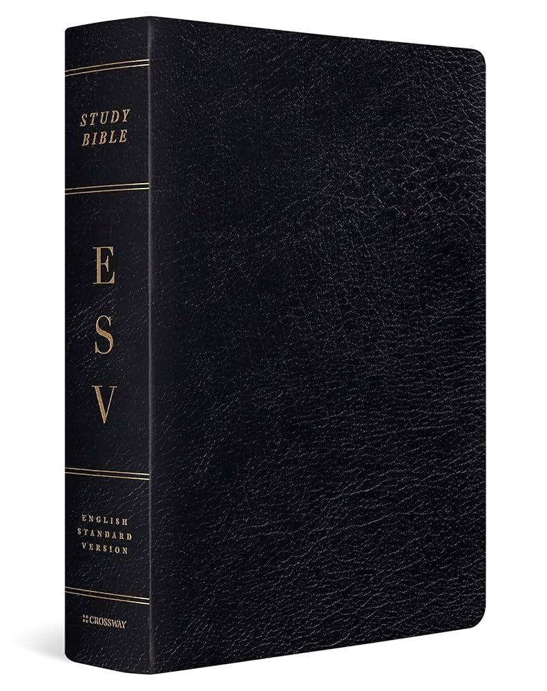 Amazon | ESV Study Bible: English Standard Version, Black