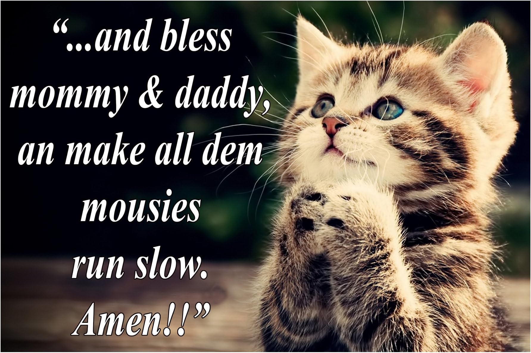 1 Small fridge refrigerator magnet, PRAYING KITTEN, funny photo flexible humorous meme decorative magnetic sign plaque print. Pet Tabby Cat Prays For Mice To Run Slowly!