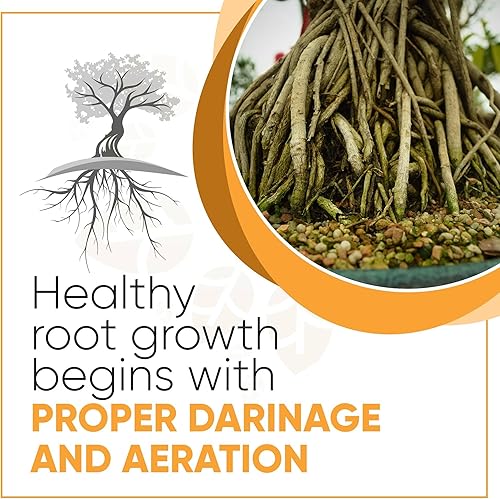 Miniatura 2 de Akadama - Suelo para bonsái, tamaño de suelo de 0.276 in con polvo y partículas pequeñas eliminadas