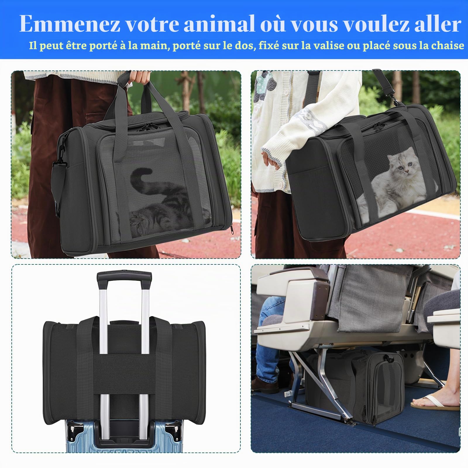 45x30x30 cm Sac de Transport pour Chat d'Extérieur Pliable et Respirant, Caisse de Transport Chat avec Matelas Souple, Sac Chat Transport pour Chat et Chien Voyage en Train/Voiture(Noir)