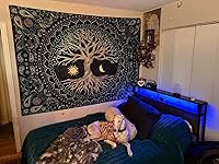 Review Image by Jude Deegan