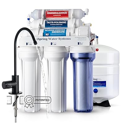 iSpring Whole House Water Filter System, Reduces Iron, Manganese, Chlorine, Sediment, Taste, and Odor, 3-Stage Iron Filter Whole House, Model: WGB32BM