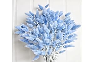 Mesmerizing Blue Dried Pampas Grass, the Perfect Boho Accent for Homes and Weddings