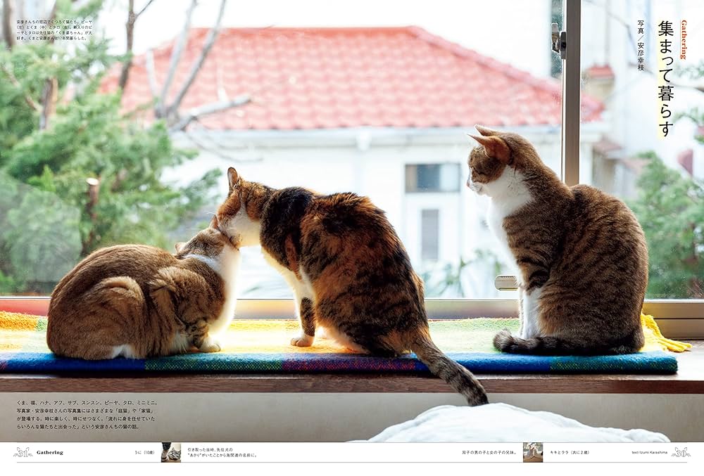 マガジンハウス - ねこありさま専用 BRUTUS特別編集 増補改訂版 猫だもの。 (MAGAZINE HOUSE MOOK