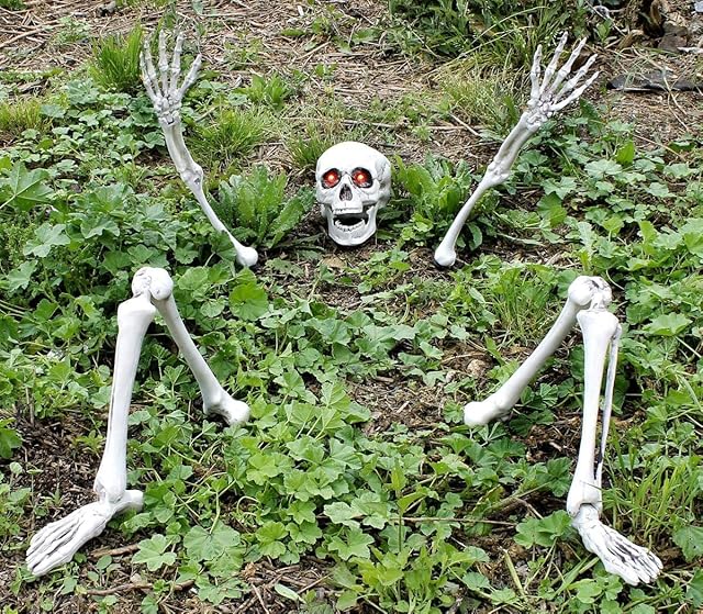 Skeleton Halloween Fancy Dress Decoration Prop - Ground Breaking Scary Party Decoration - Skull, 2x Arms & 2x Legs