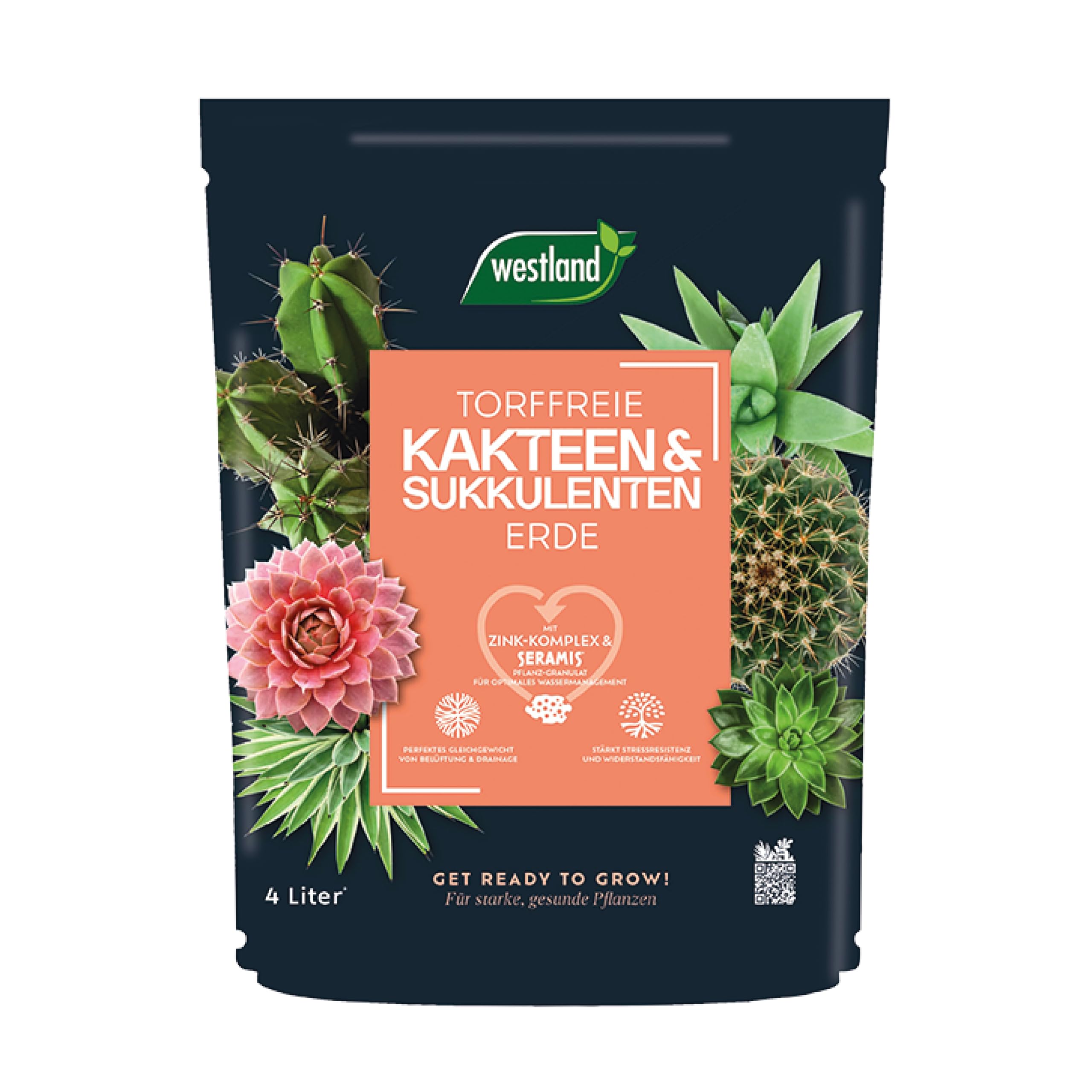 Westland Kakteen & Sukkulenten Erde, 4 l – Kakteenerde für gesunde Pflanzen, Erde mit Tongranulat zur optimalen Wasser- und Nährstoffverteilung