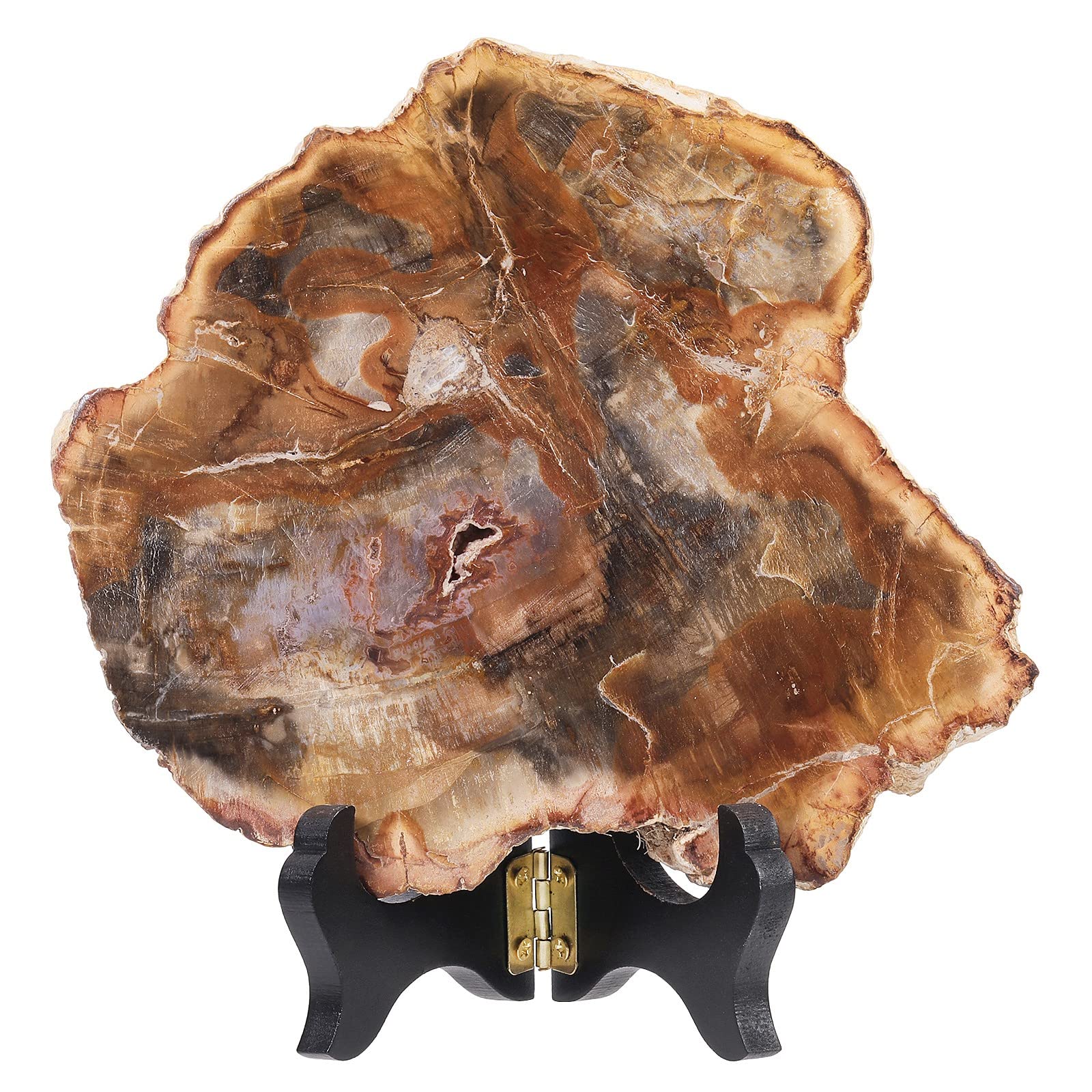 Amogeeli Natural Petrified Wood Slice Stone Specimen with Wooden Stand, Irregular Mineral Crystal Decoration for Home & Office