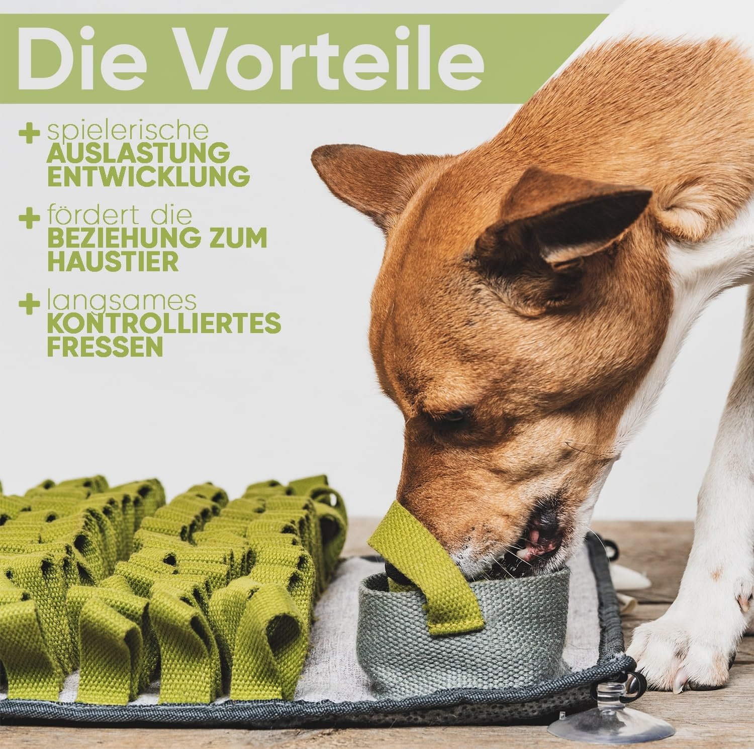 Tapis à renifler pour chiens et chats + E-book gratuit – Jouet interactif pour chien résistant aux morsures – Jouet intelligent pour la promotion et l'utilisation – Jouet de réflexion |