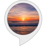 Arc Apps