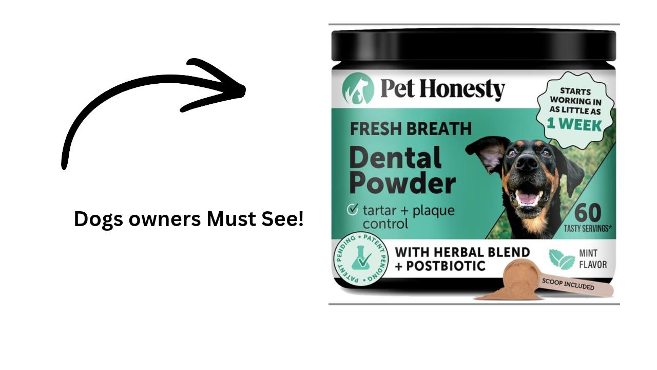 Watch My Honest Review on this Dental Powder with my 4 Dogs on