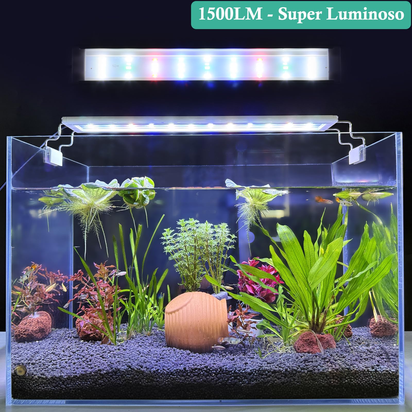 Illuminazione LED per Acquario con Timer, Lampada per Piante Acquatiche a Spettro Completo, Classica Luce per Acquario con LED RGB, con Staffe Regolabili Stabili (30-50cm)