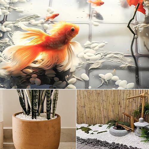 Miniatura 8 de WHANLEY L&Q Grava mate, rocas blancas naturales de río (0.4  0.8 pulgadas), grava blanca, piedra de relleno de jarrón, grava de guisantes, rocas,