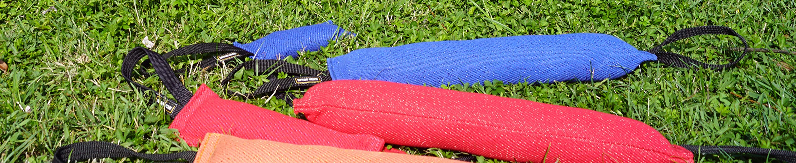 Dingo Gear - Remolque de Nailon para Entrenamiento de Perros IGP IPO Schutzhund para búsqueda ciega de presas para Obtener recompensa, Hecho a Mano de Material francés
